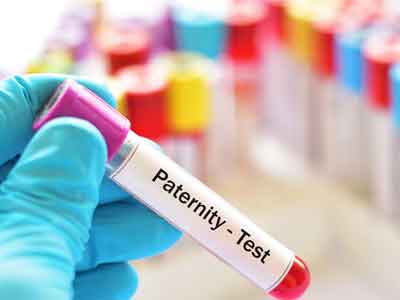 Paternity Test